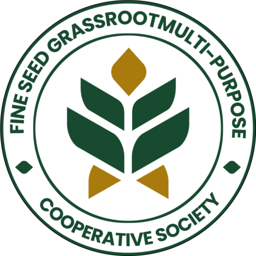 WELCOME TO OUR WEBSITE